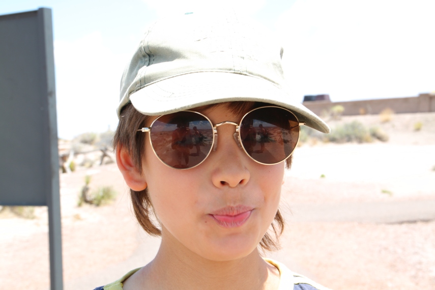 Petrified Forest National Park